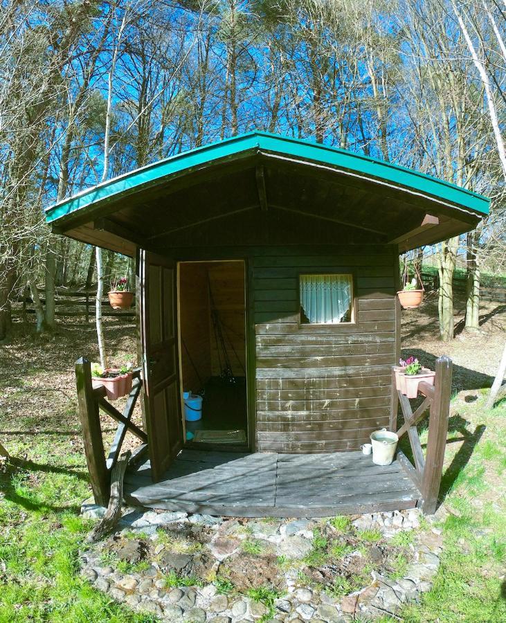 Agroturystyka Strzebielino Bagian luar foto
